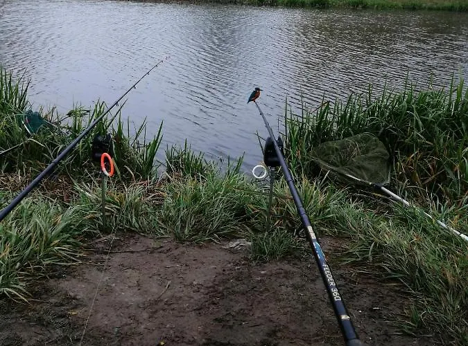 Uj Lilla Appartamento